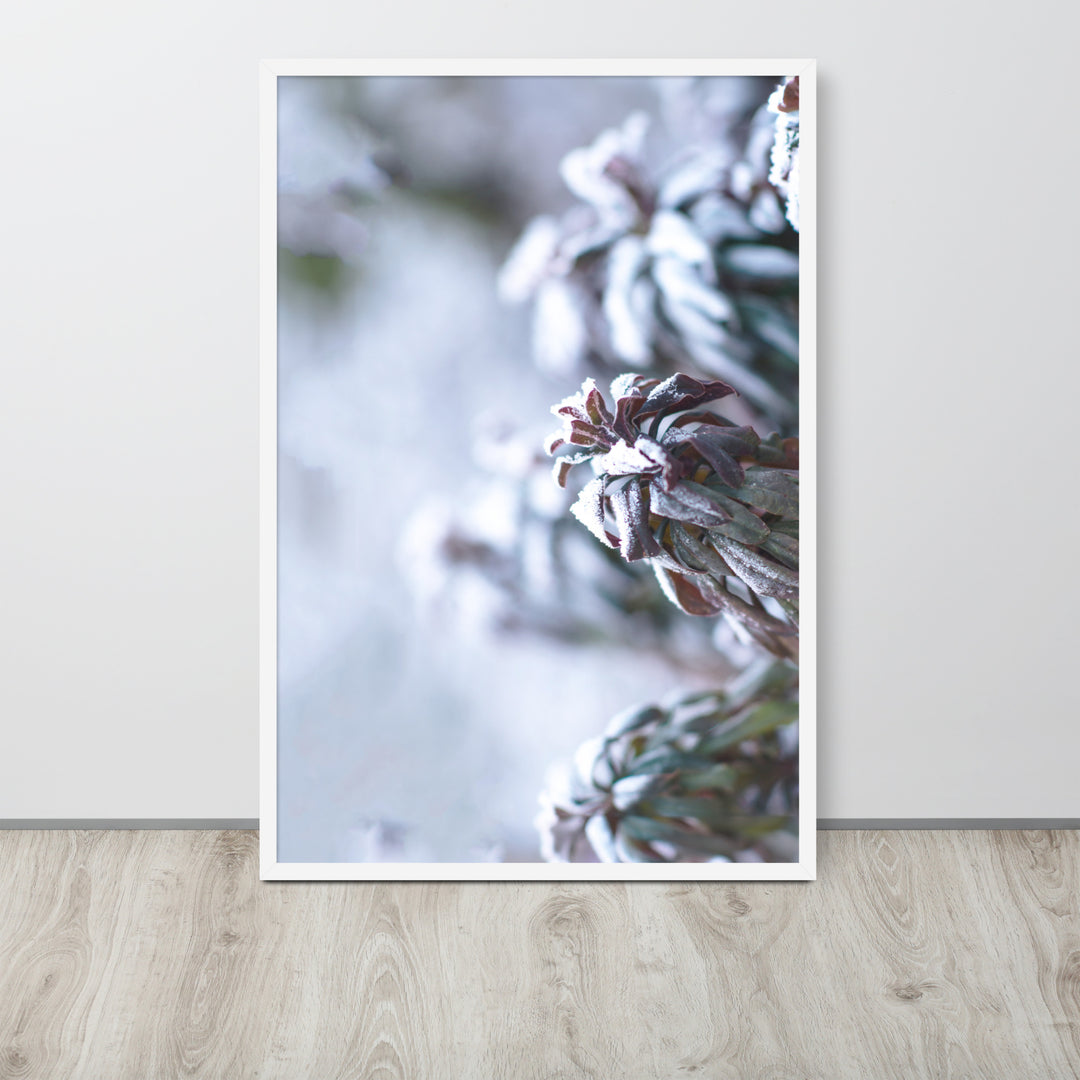 Póster - Escarcha en hojas, un momento en la naturaleza