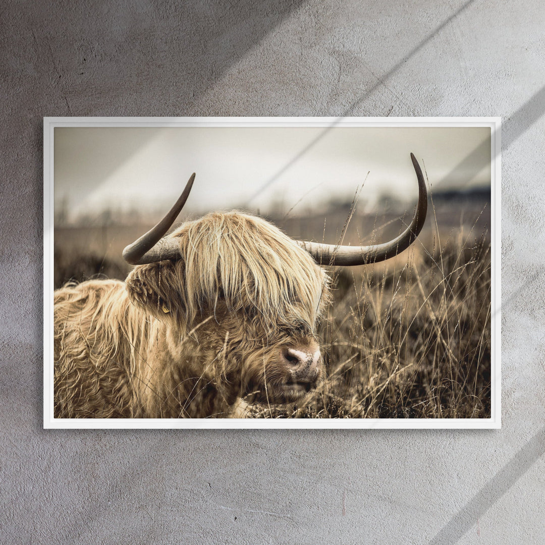 Leinwand - Highland Cattle Retro artlia