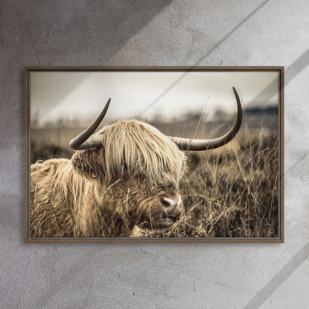 Leinwand - Highland Cattle Retro artlia