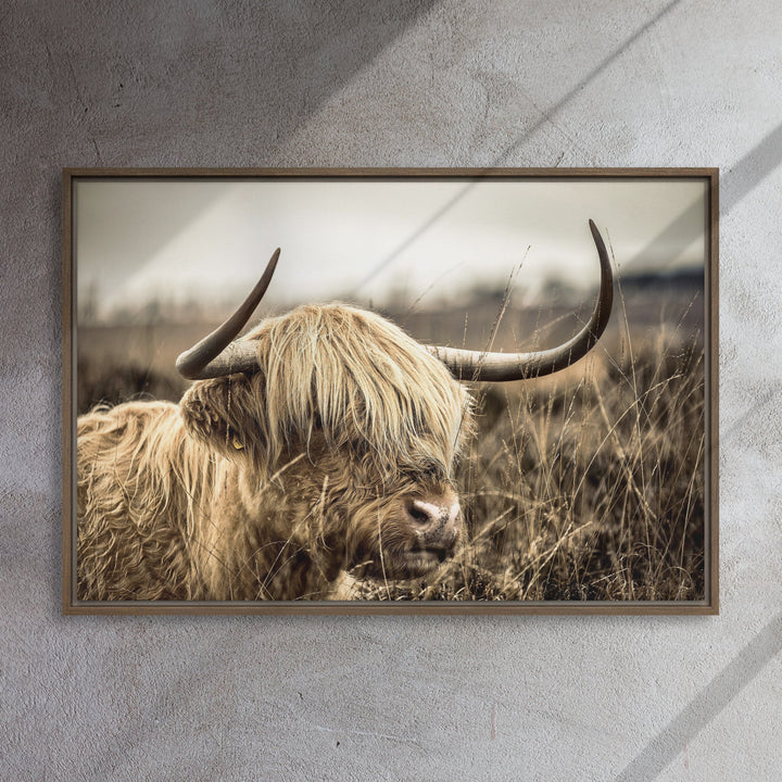 Leinwand - Highland Cattle Retro artlia