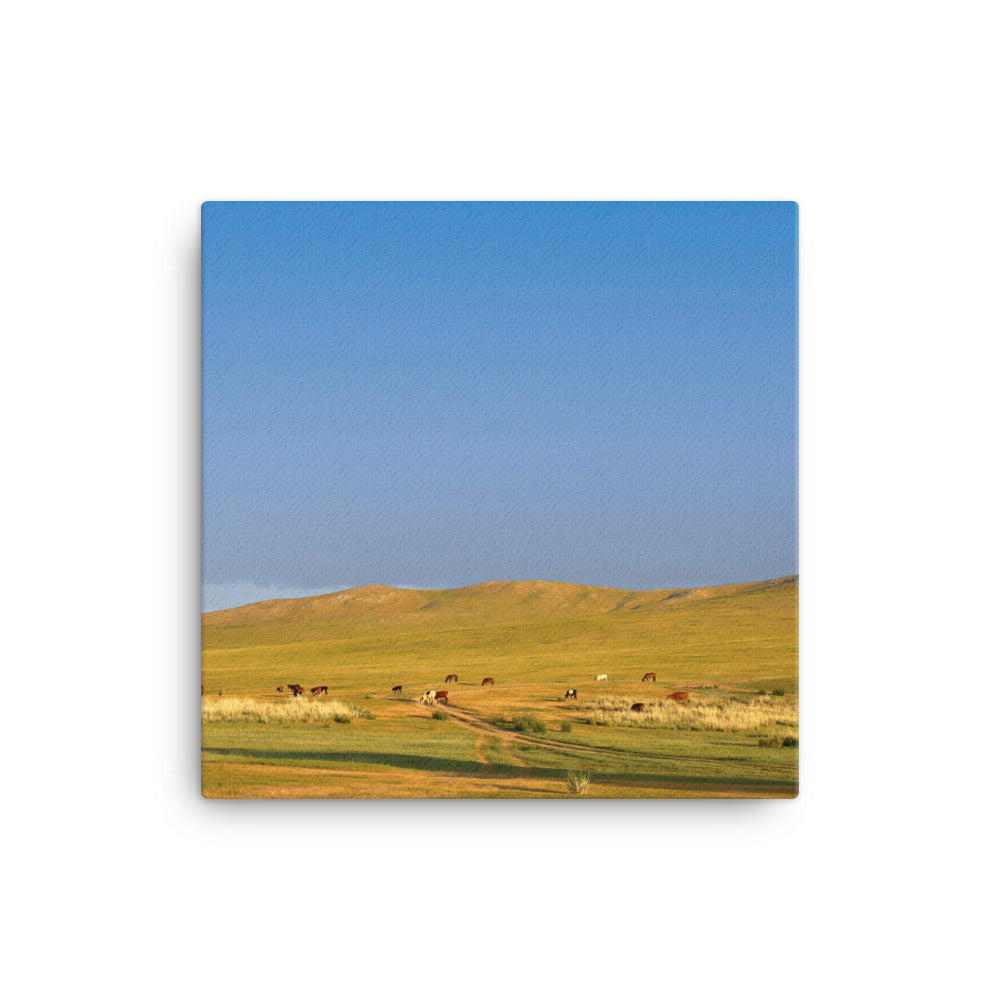 Leinwand - Steppe on a calm morning, Mongolia 41x41 cm artlia