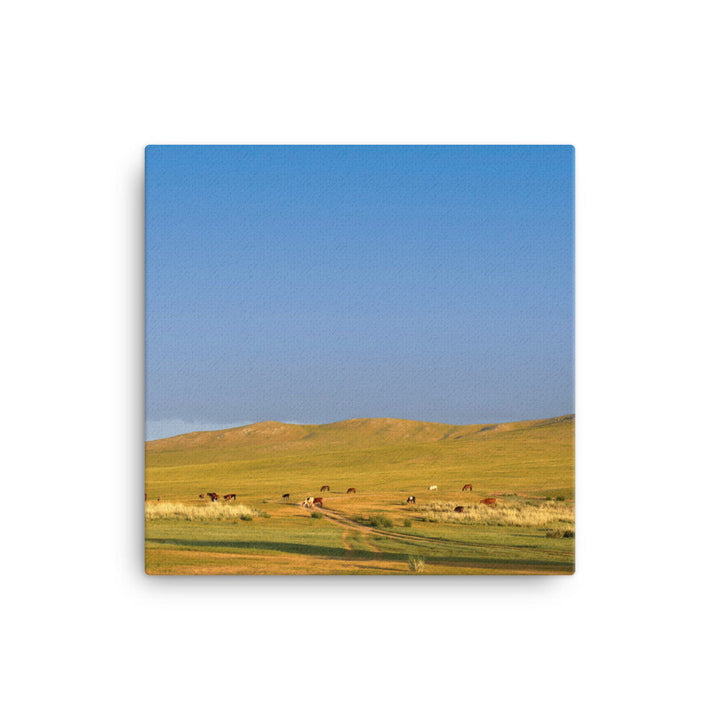 Leinwand - Steppe on a calm morning, Mongolia 41x41 cm artlia
