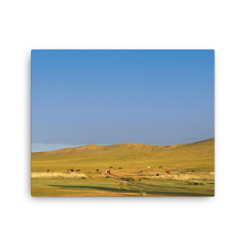 Leinwand - Steppe on a calm morning, Mongolia 41x51 cm artlia
