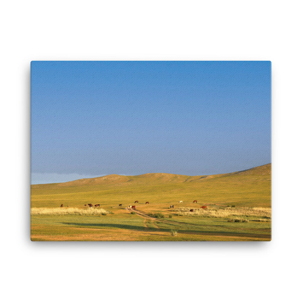Leinwand - Steppe on a calm morning, Mongolia 46x61 cm artlia