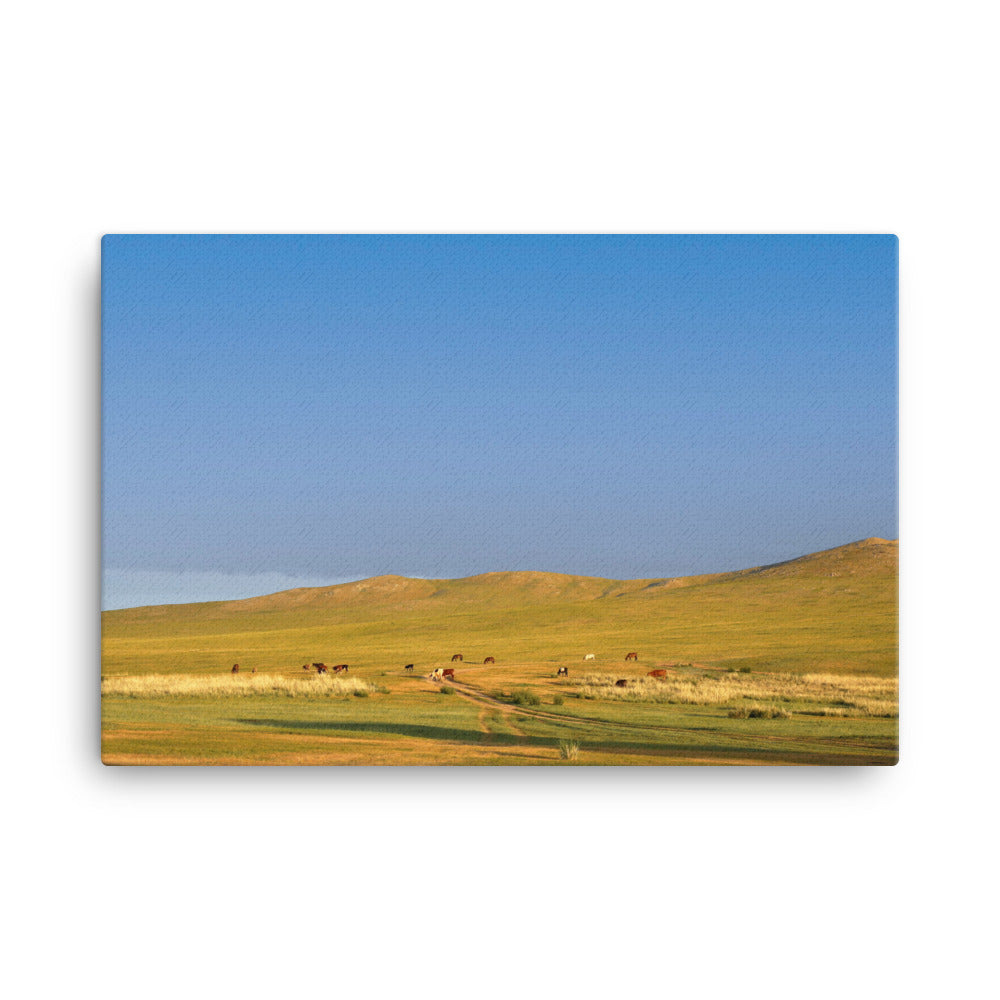 Leinwand - Steppe on a calm morning, Mongolia 61x91 cm artlia
