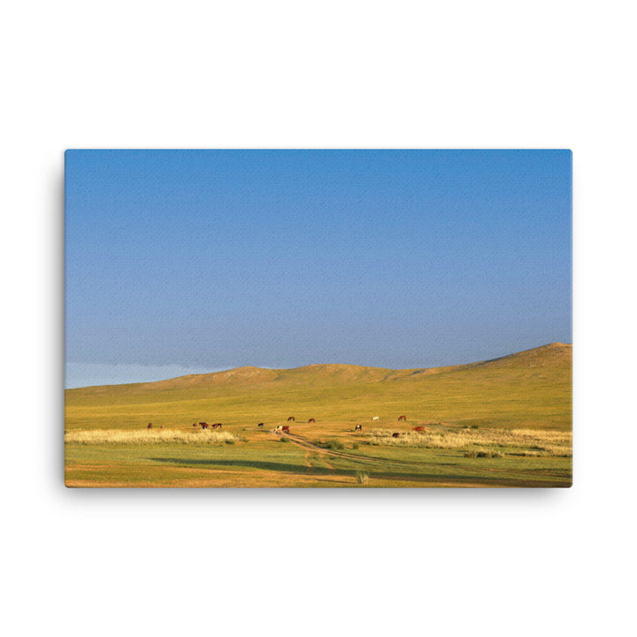 Leinwand - Steppe on a calm morning, Mongolia 61x91 cm artlia