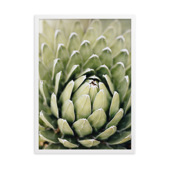 Poster - Cactus Flower II Weiß / 50×70 cm artlia