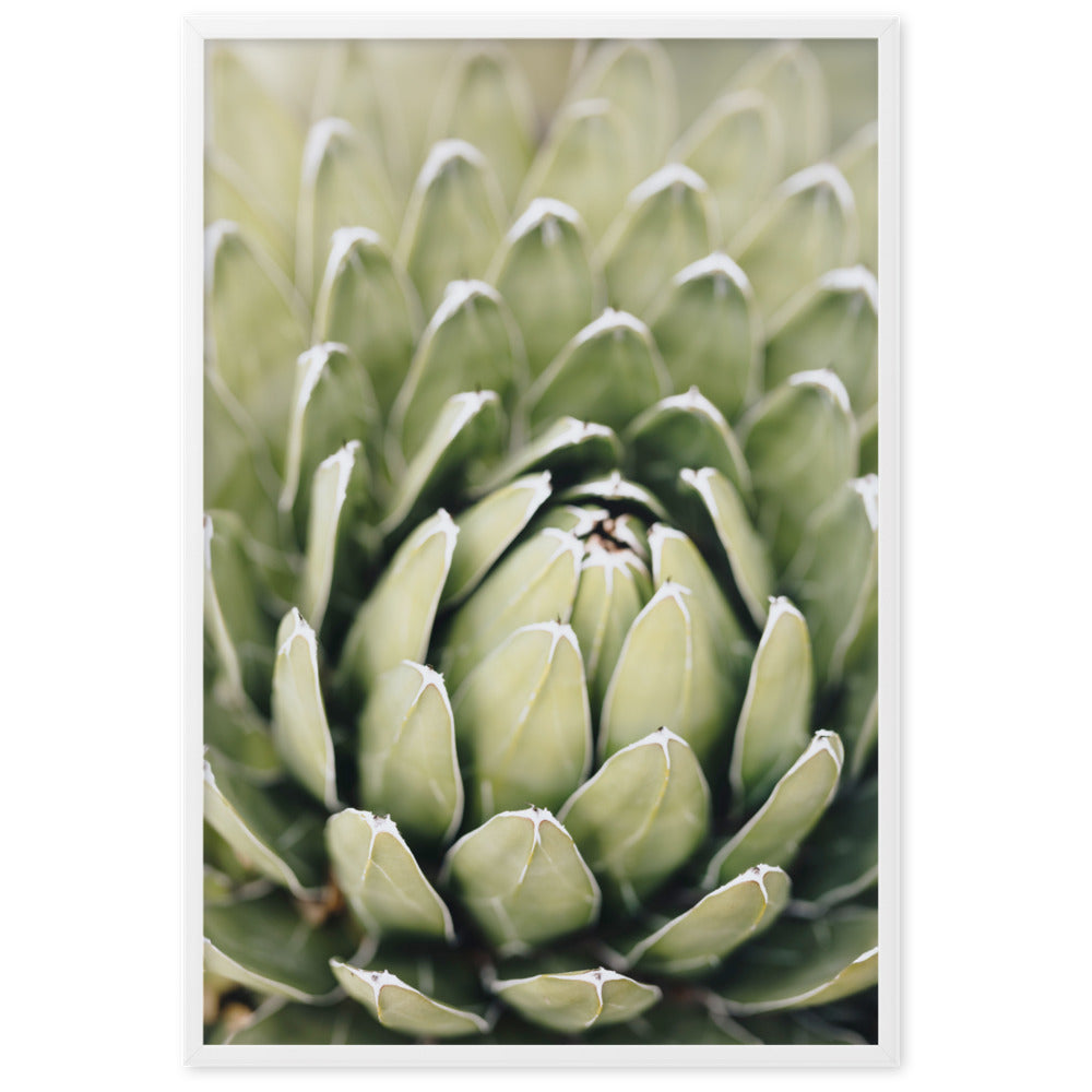 Poster - Cactus Flower II Weiß / 61×91 cm artlia