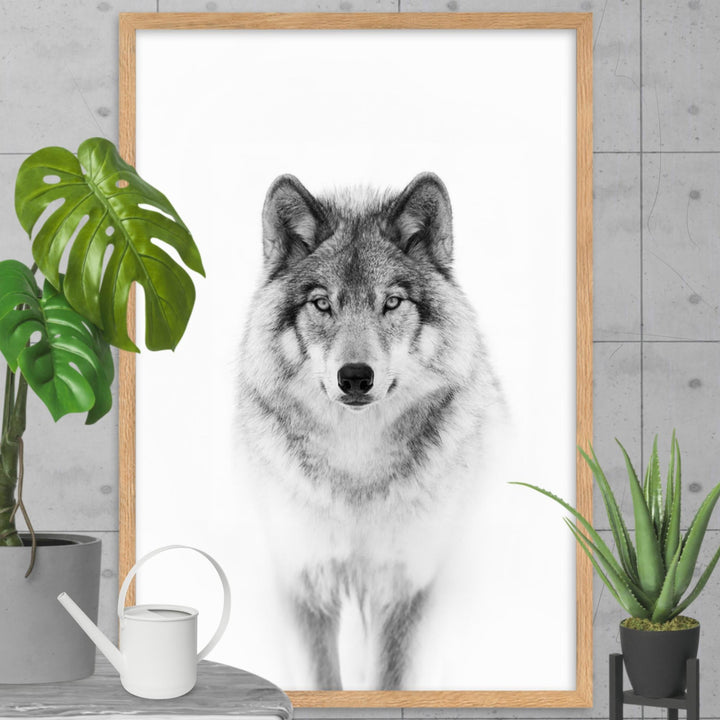 Poster - Calm Wolf artlia