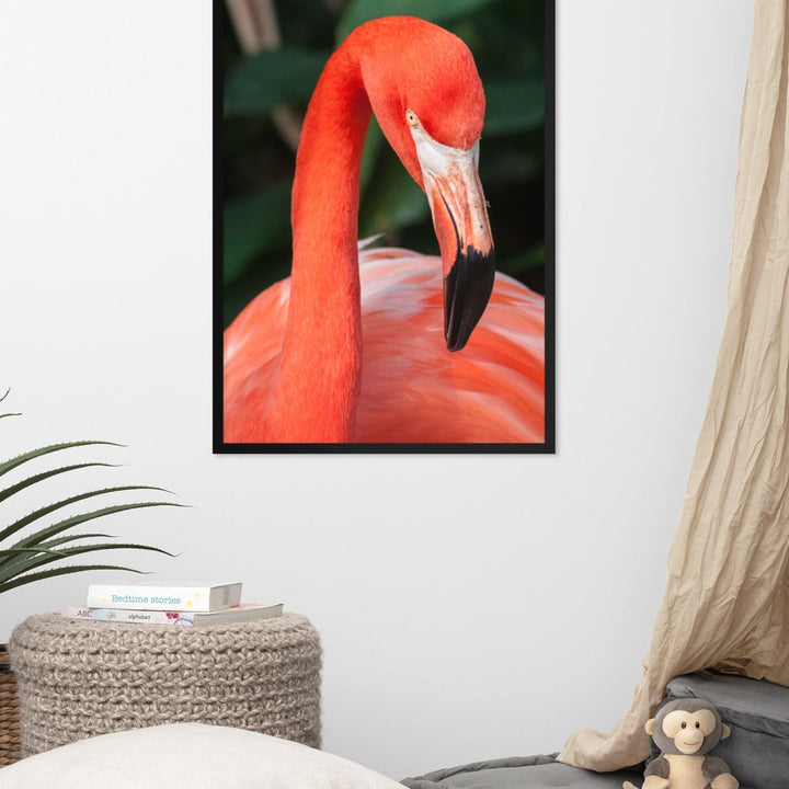 Poster - Flamingo, Phoenicopterus Ruber artlia