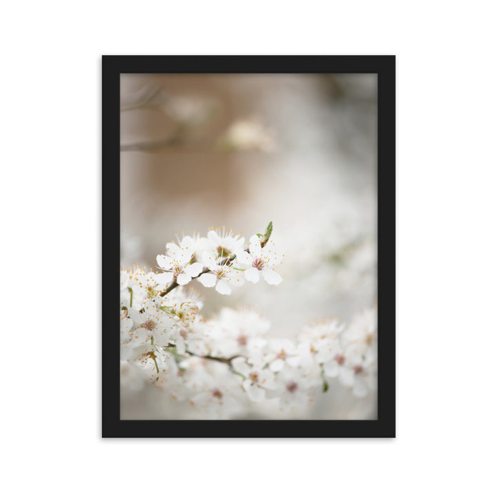 Poster - Kirschblüten Schwarz / 30×40 cm artlia