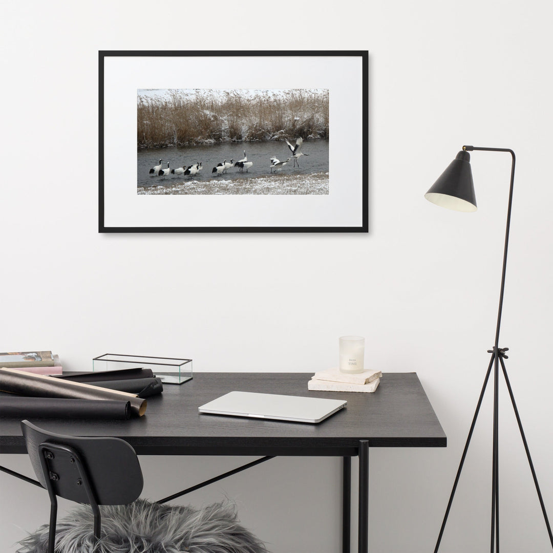 Poster mit Passepartout - Kraniche in Hantangang artlia