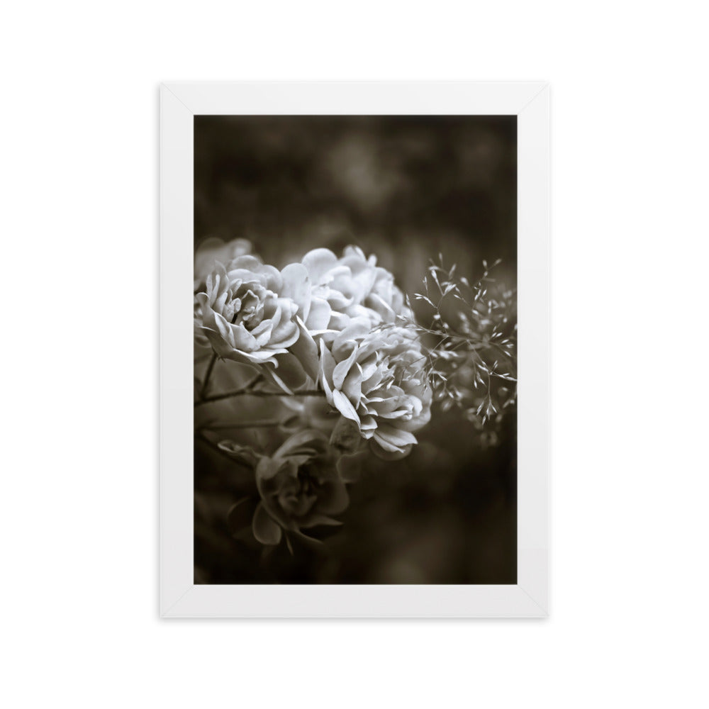 Poster - Weiße Pfingstrosen Weiß / 21×30 cm artlia