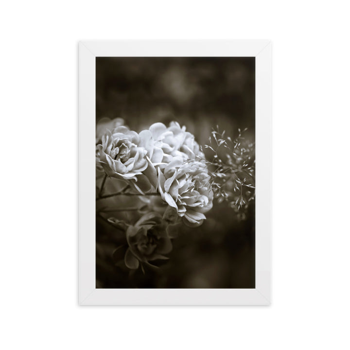 Poster - Weiße Pfingstrosen Weiß / 21×30 cm artlia