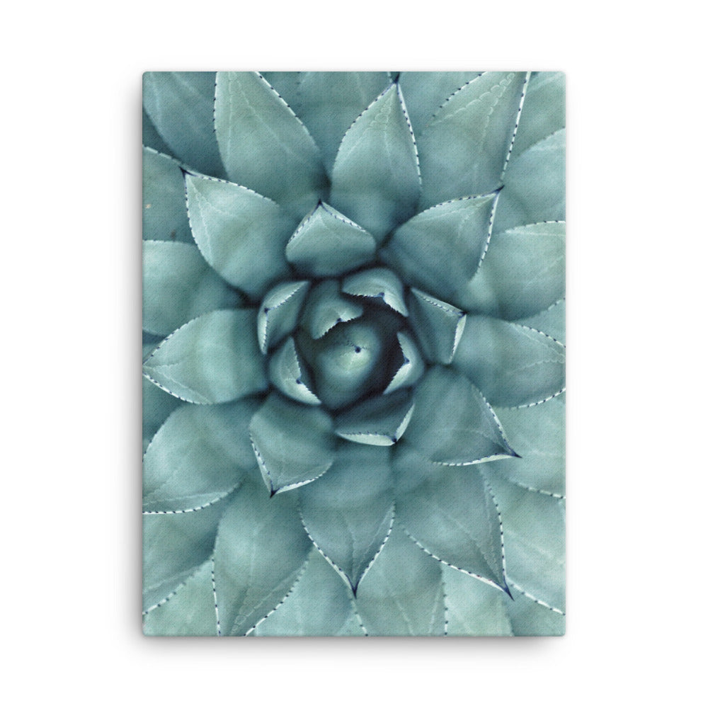 Blumenkaktus - Leinwand 30x41 cm artlia