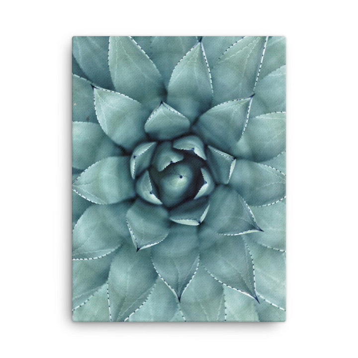 Blumenkaktus - Leinwand 30x41 cm artlia