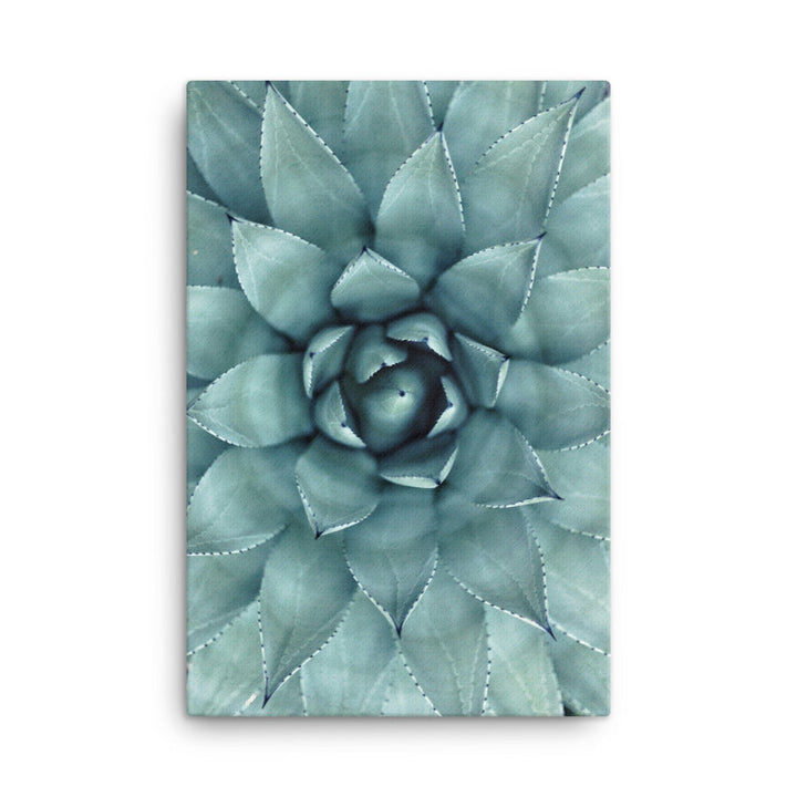 Blumenkaktus - Leinwand 61x91 cm artlia