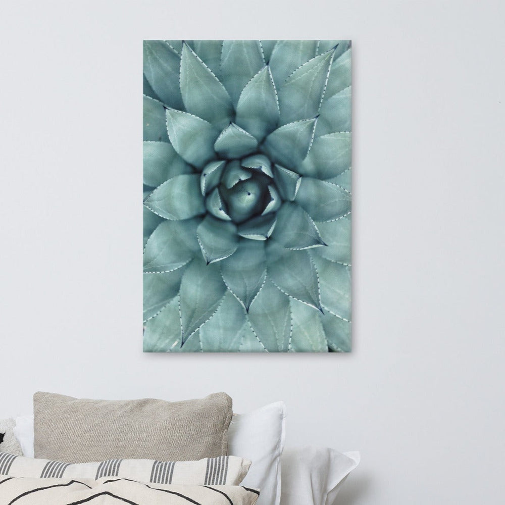Blumenkaktus - Leinwand artlia