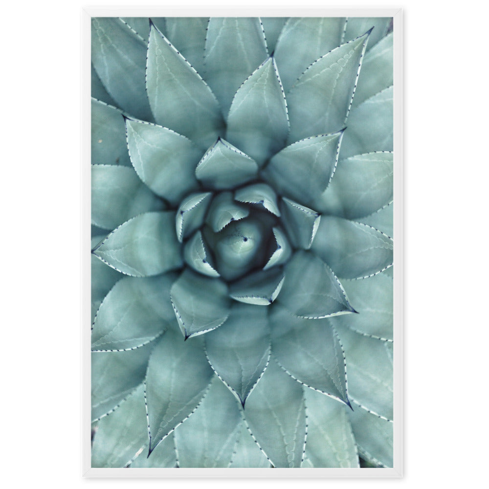 Flower Cactus