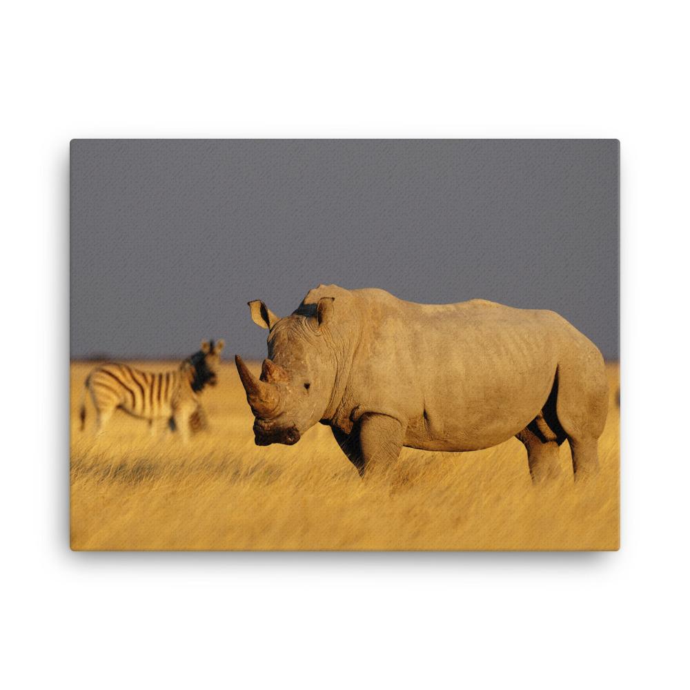 Das Nashorn - Leinwand 30x41 cm artlia