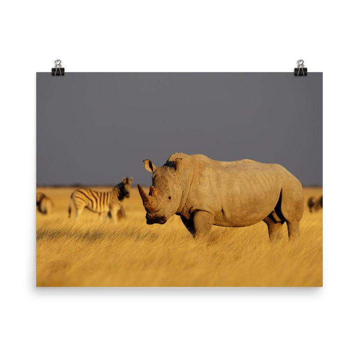 Das Nashorn - Poster 30x41 cm artlia