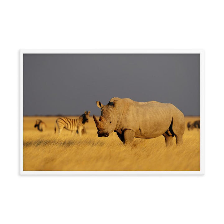 Das Nashorn - Poster artlia