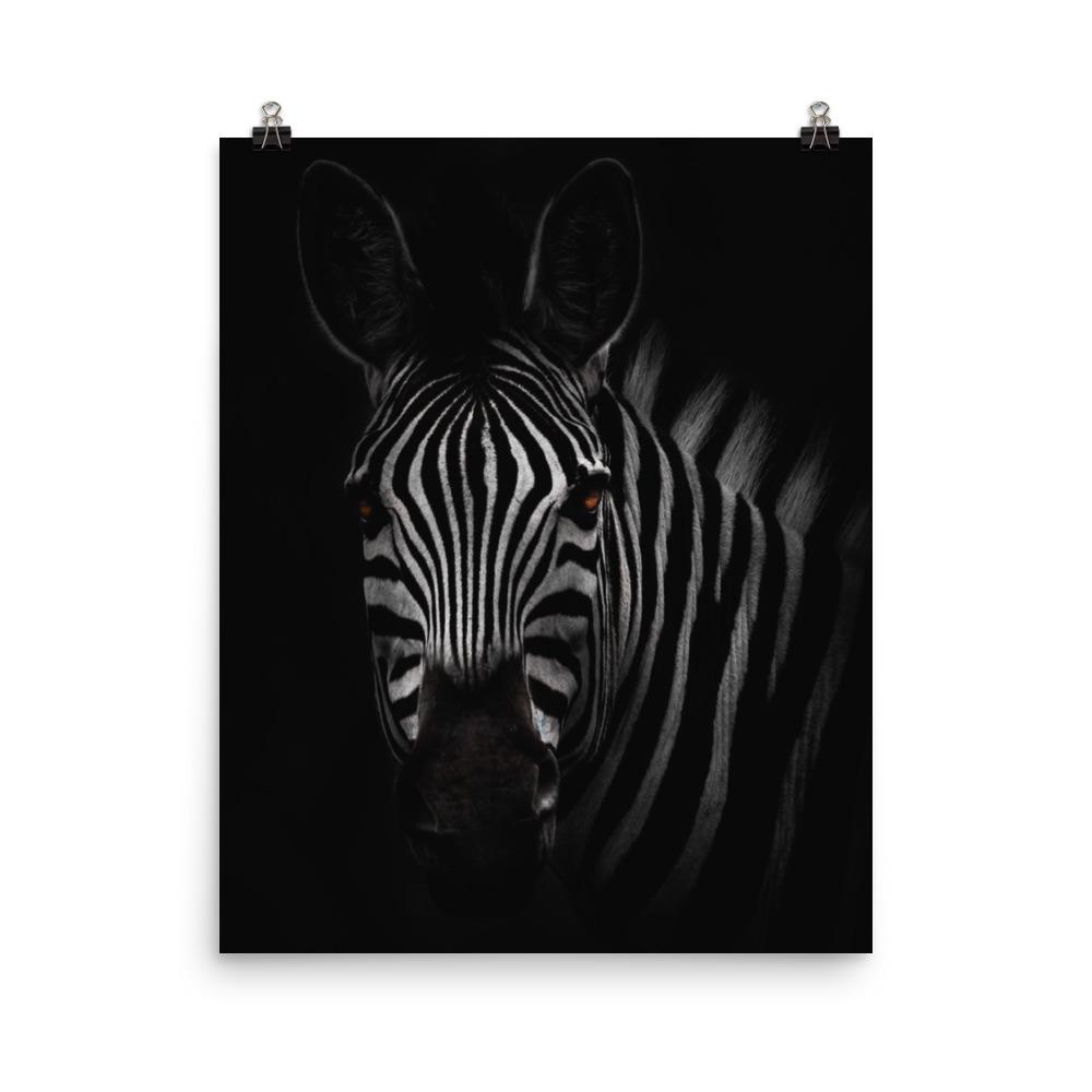 das Starren des Zebras - Poster 20x25 cm artlia