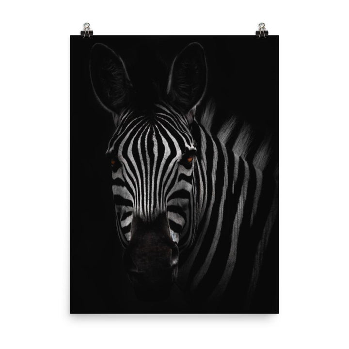 das Starren des Zebras - Poster 30x41 cm artlia