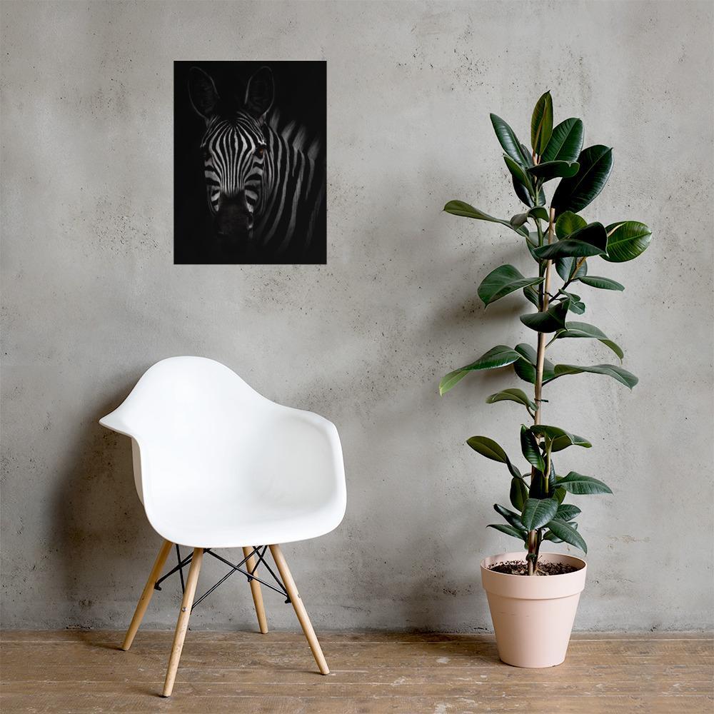 das Starren des Zebras - Poster artlia