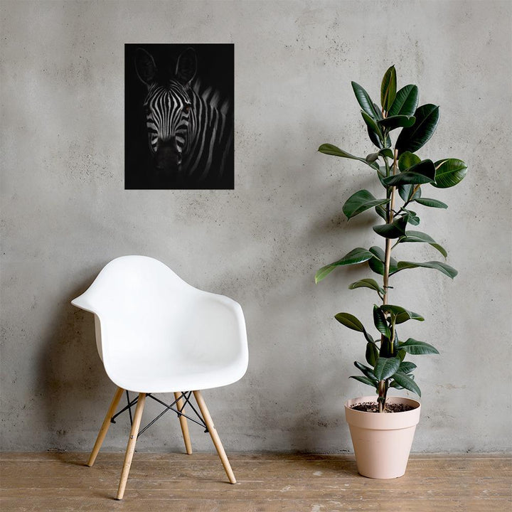 das Starren des Zebras - Poster artlia