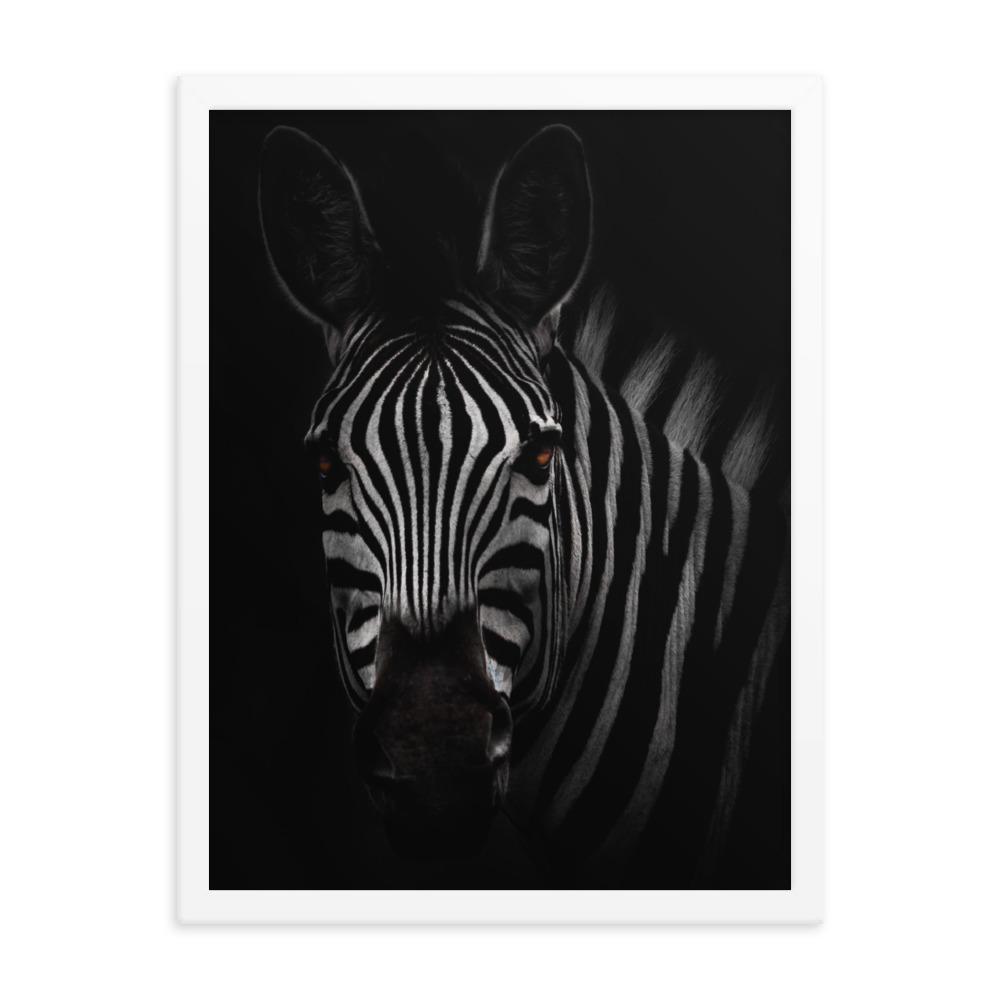 das Starren des Zebras - Poster artlia