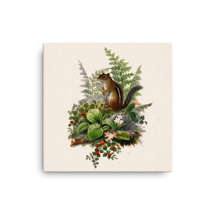 Eichhörnchen - Leinwand 30x30 cm artlia