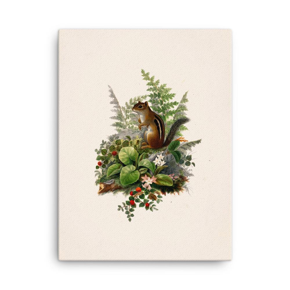 Eichhörnchen - Leinwand 30x41 cm artlia