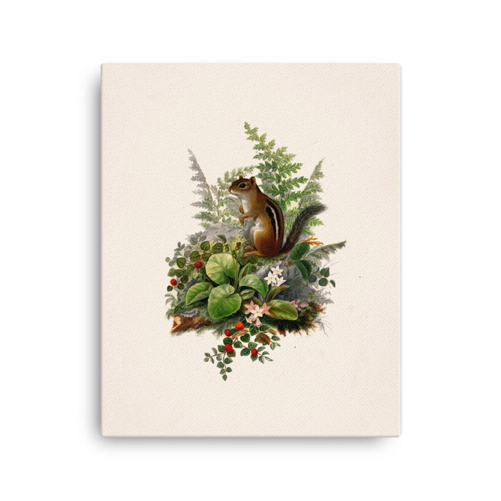 Eichhörnchen - Leinwand 41x51 cm artlia
