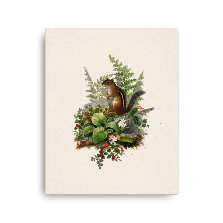 Eichhörnchen - Leinwand 41x51 cm artlia