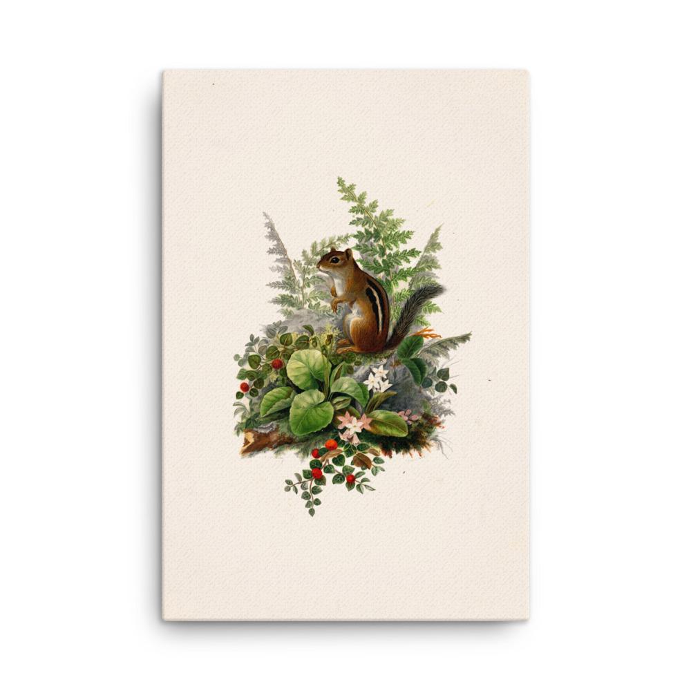 Eichhörnchen - Leinwand 61x91 cm artlia