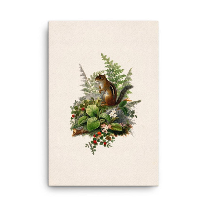 Eichhörnchen - Leinwand 61x91 cm artlia