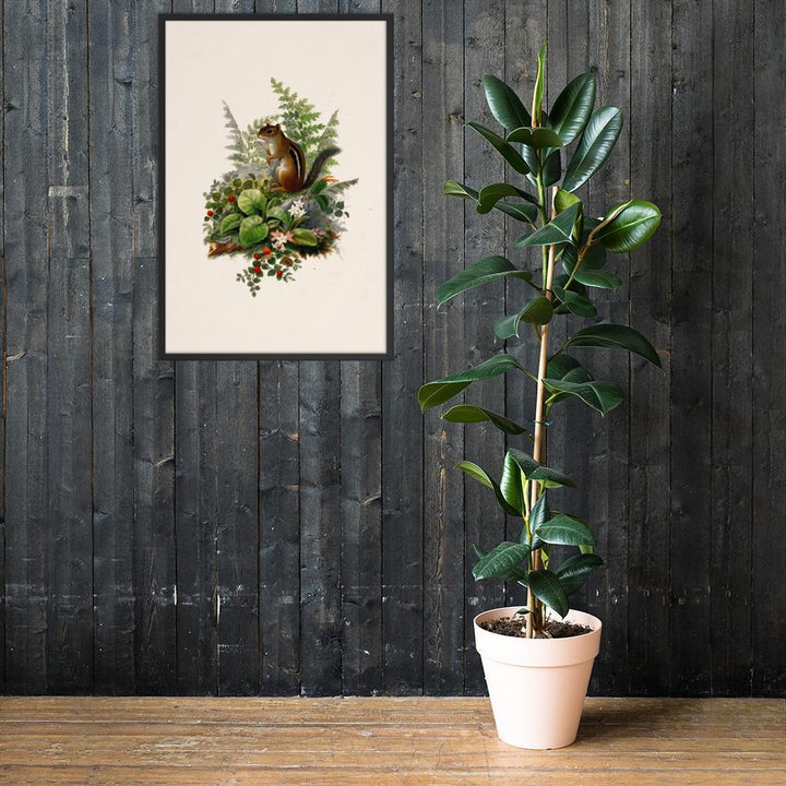 Eichhörnchen - Poster im Rahmen artlia