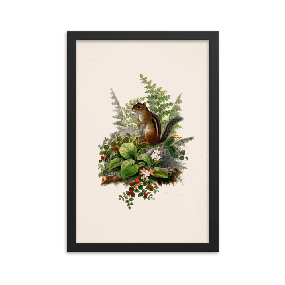 Eichhörnchen - Poster im Rahmen schwarz / 30x45 cm artlia