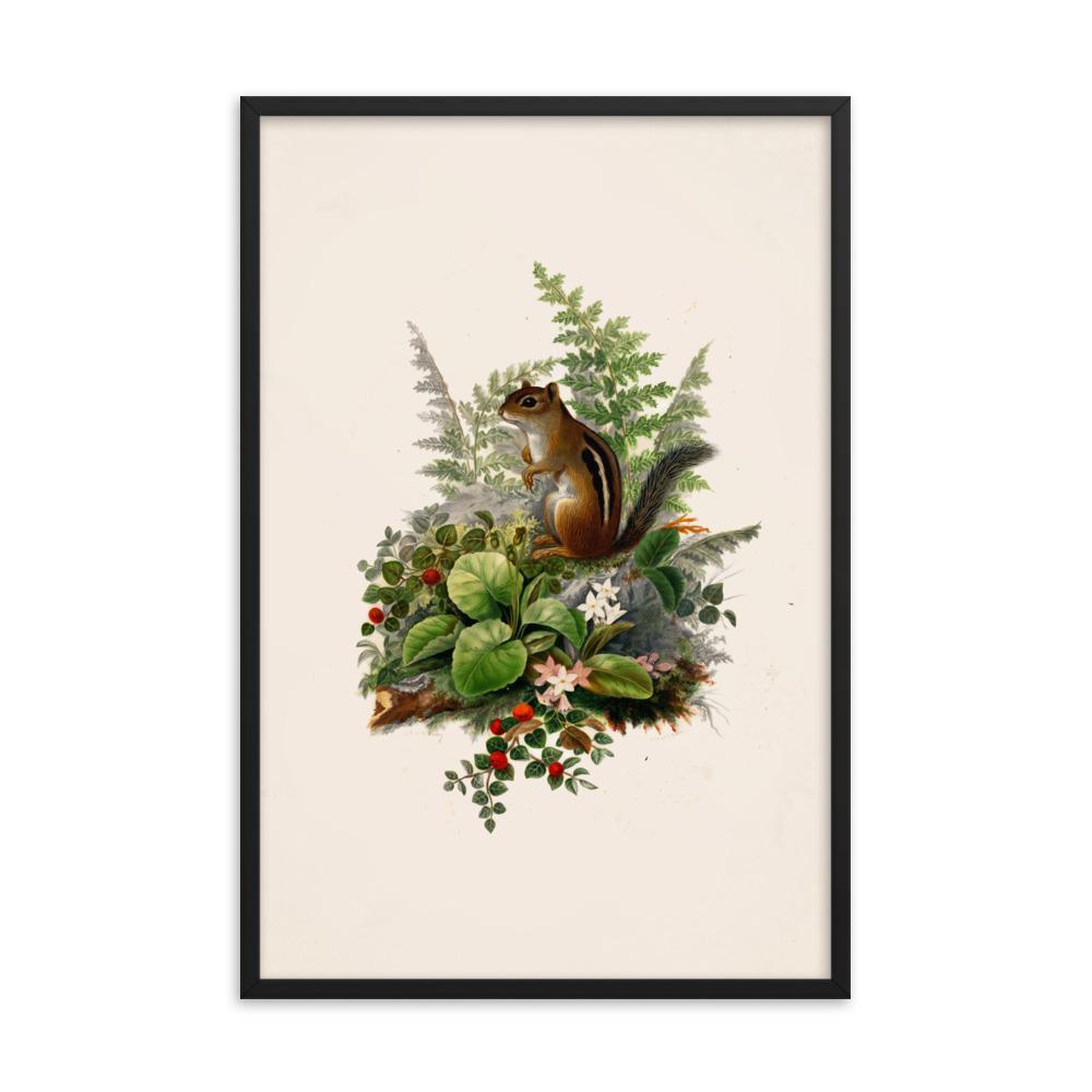 Eichhörnchen - Poster im Rahmen schwarz / 61x91 cm artlia