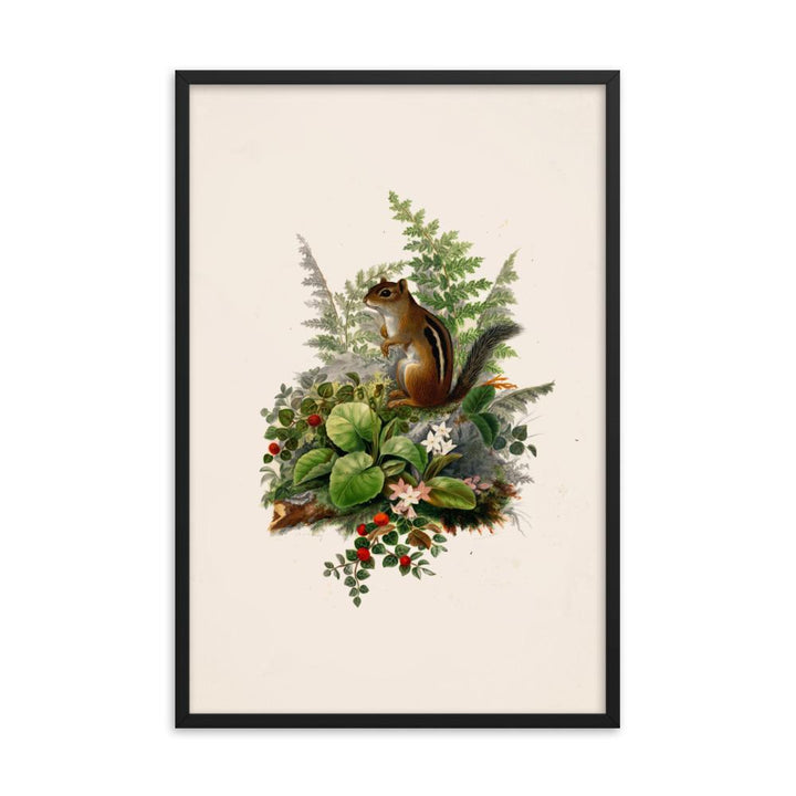 Eichhörnchen - Poster im Rahmen schwarz / 61x91 cm artlia