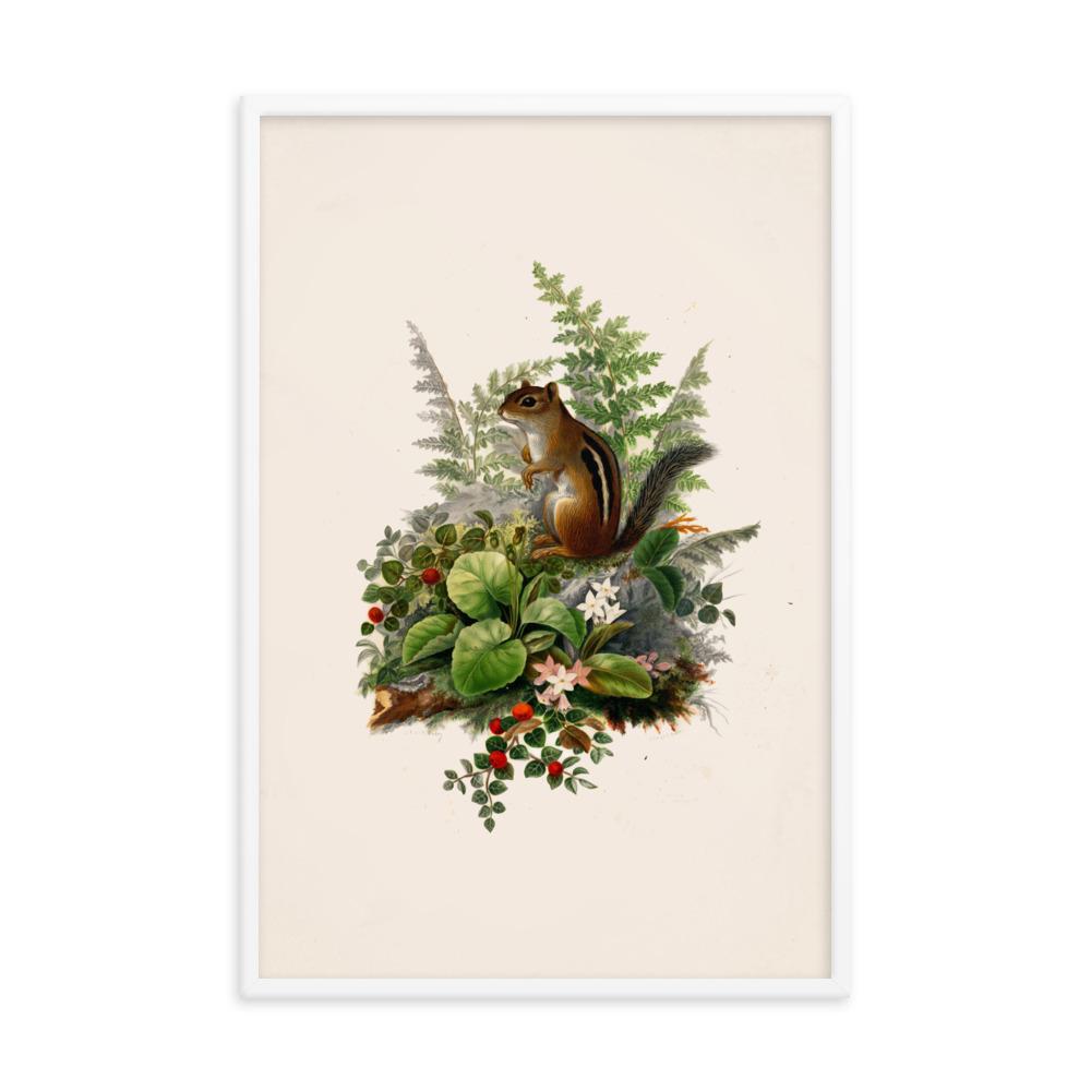 Eichhörnchen - Poster im Rahmen weiß / 61x91 cm artlia