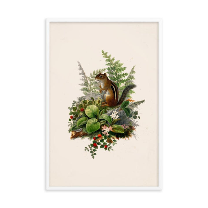 Eichhörnchen - Poster im Rahmen weiß / 61x91 cm artlia