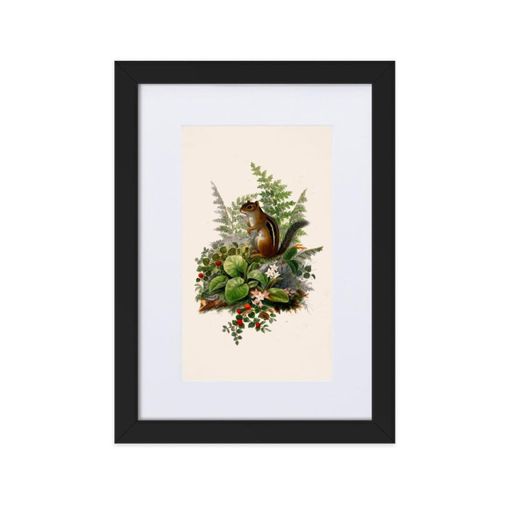 Eichhörnchen - Poster im Rahmen mit Passepartout schwarz / 21×30 cm artlia
