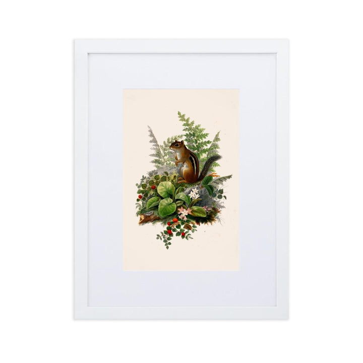 Eichhörnchen - Poster im Rahmen mit Passepartout weiß / 30×40 cm artlia