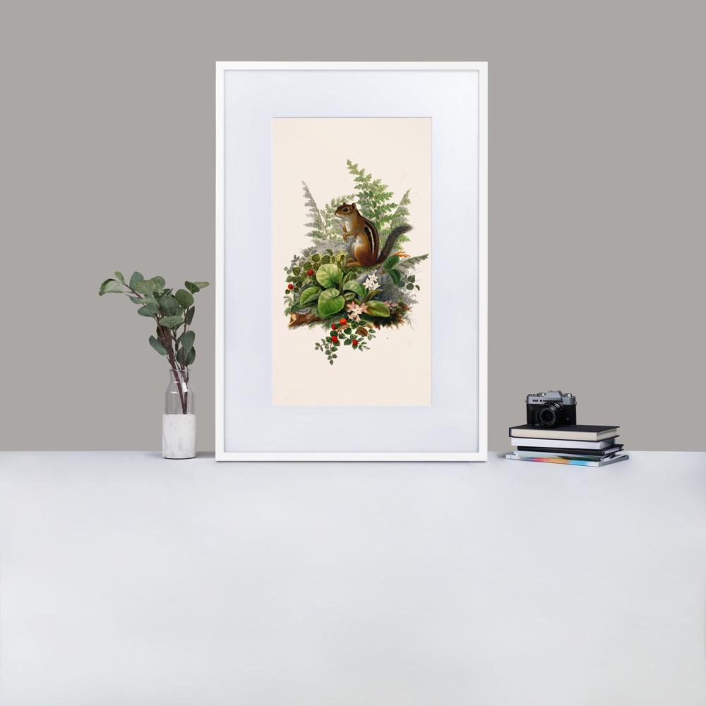 Eichhörnchen - Poster im Rahmen mit Passepartout artlia
