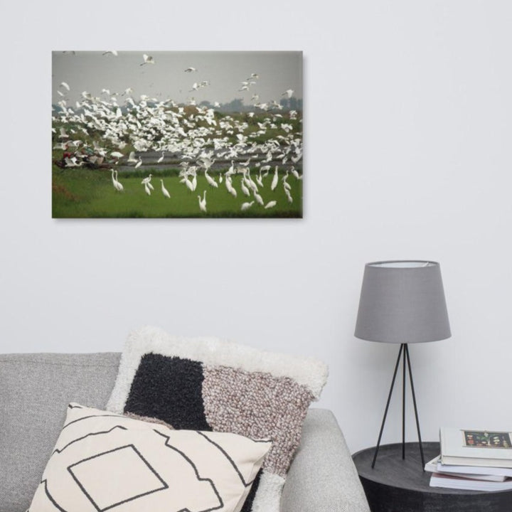 eine Herde Silberreiher - Leinwand artlia