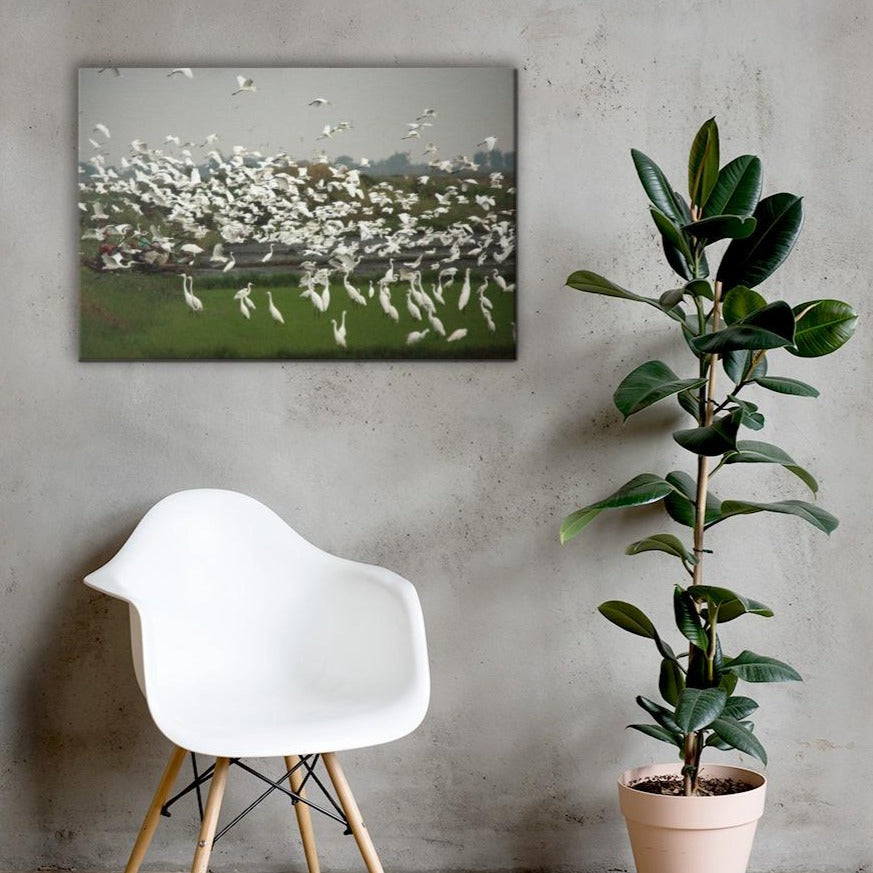 eine Herde Silberreiher - Leinwand artlia