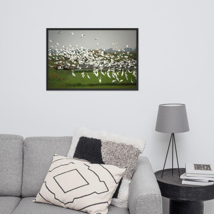 eine Herde Silberreiher - Poster im Rahmen artlia