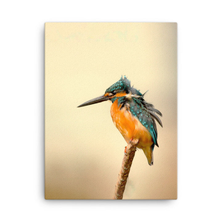 Eisvogel - Leinwand 30x41 cm artlia